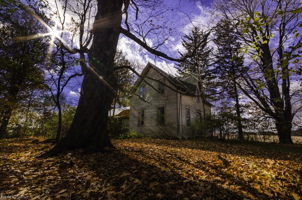 An abandoned ontario house surrounded by autumn leaves