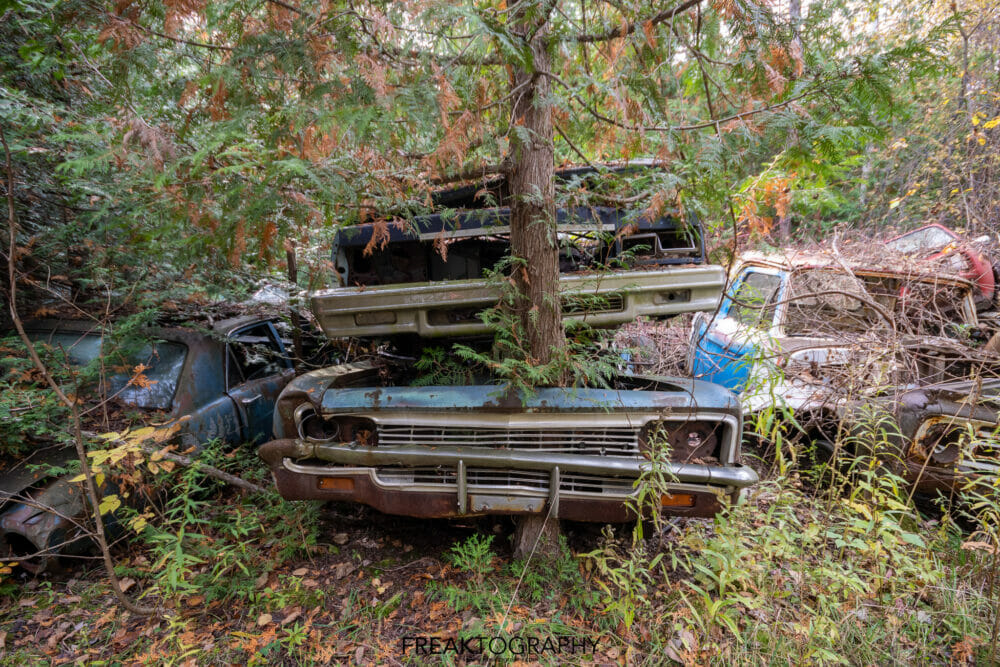 mcleans auto wreckers car graveyard | abandoned cars