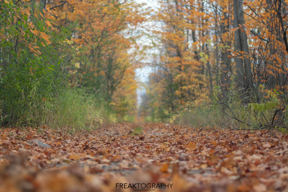 Fall Nature Photography 2019