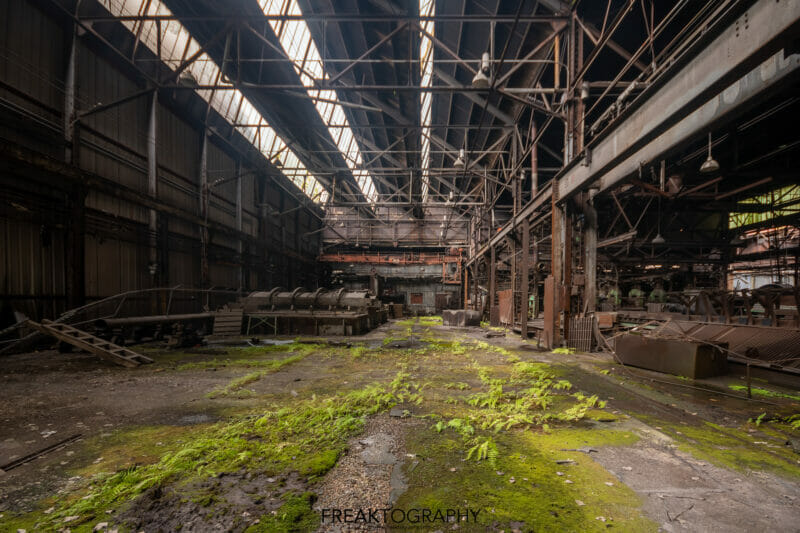 Abandoned New York State Steel Mill Growth