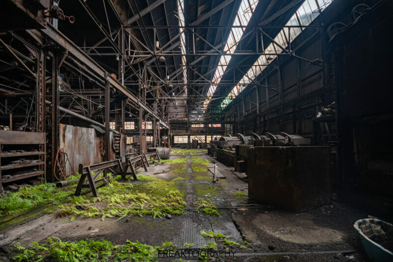 Abandoned New York State Steel Mill Growth