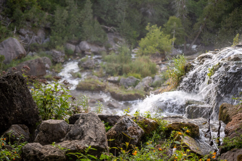 inglis falls waterfall owen sound