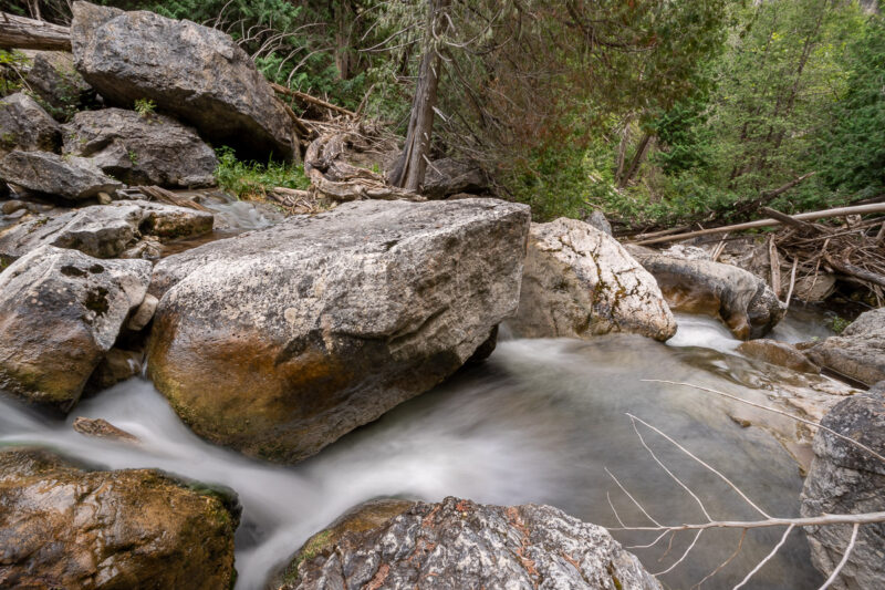 eugenia falls waterfall