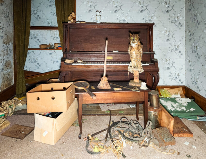 Abandoned Time Capsule House With a Stuffed Owl