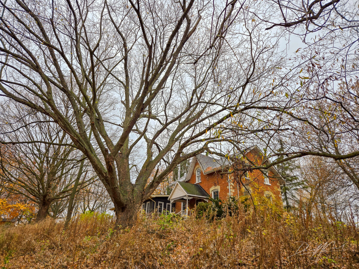 Abandoned Century Farmhouse in the Woods