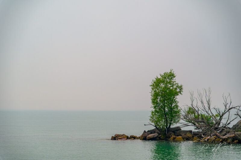 Pelee Island 2025 Photography