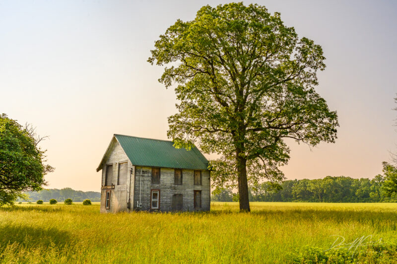 Pelee Island 2025 Photography