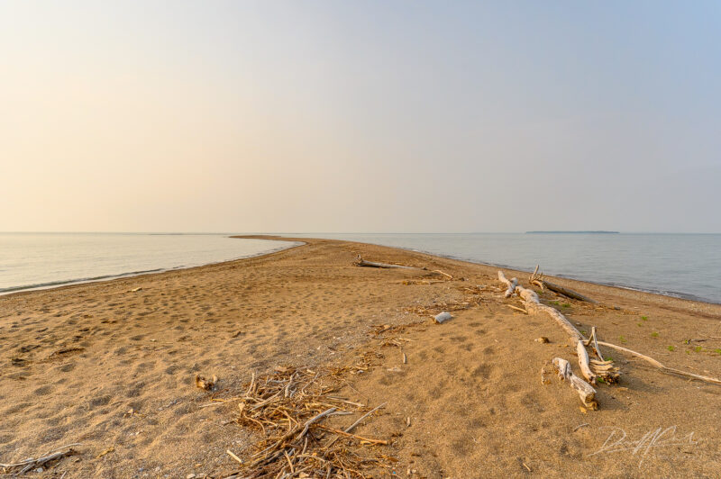 Pelee Island 2025 Photography