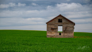 Wooden Hut in Field in Alberta