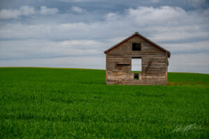 Wooden Hut in Field in Alberta