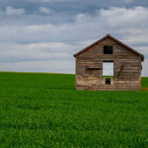 Wooden Hut in Field in Alberta