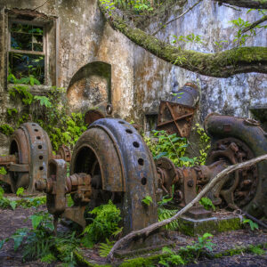Forgotten Industrial Ruins Overtaken by Nature Fine Art Photography Print