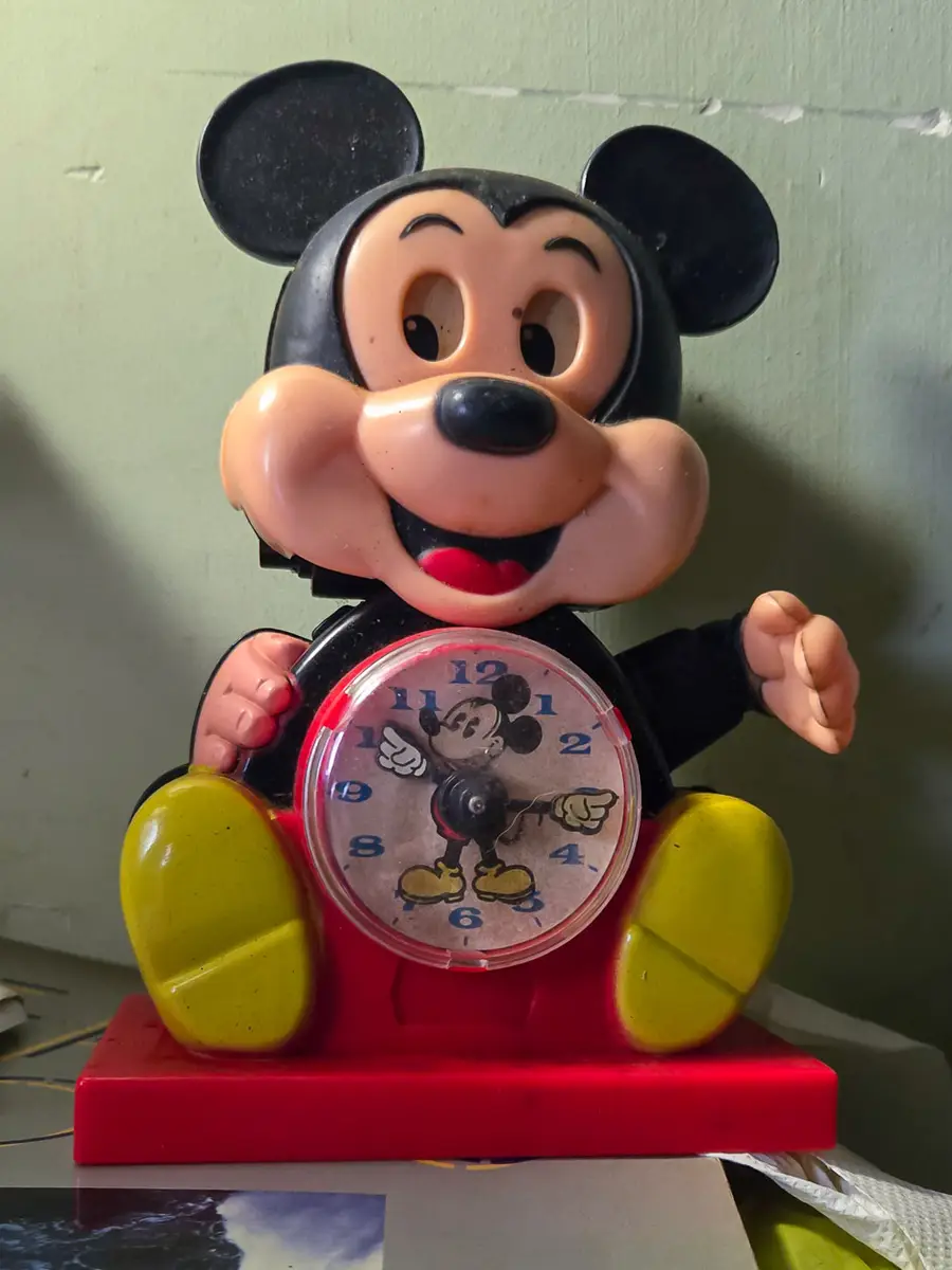 The House Full of Toys