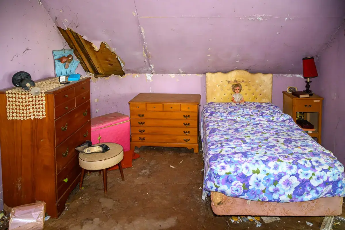 Abandoned Cat Lady House Fall 2025