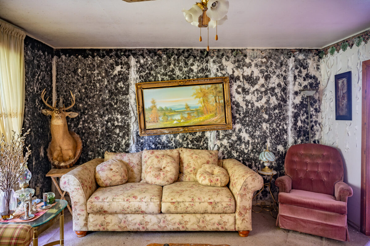 ABANDONED BLACK MOLD TIME CAPSULE HOUSE