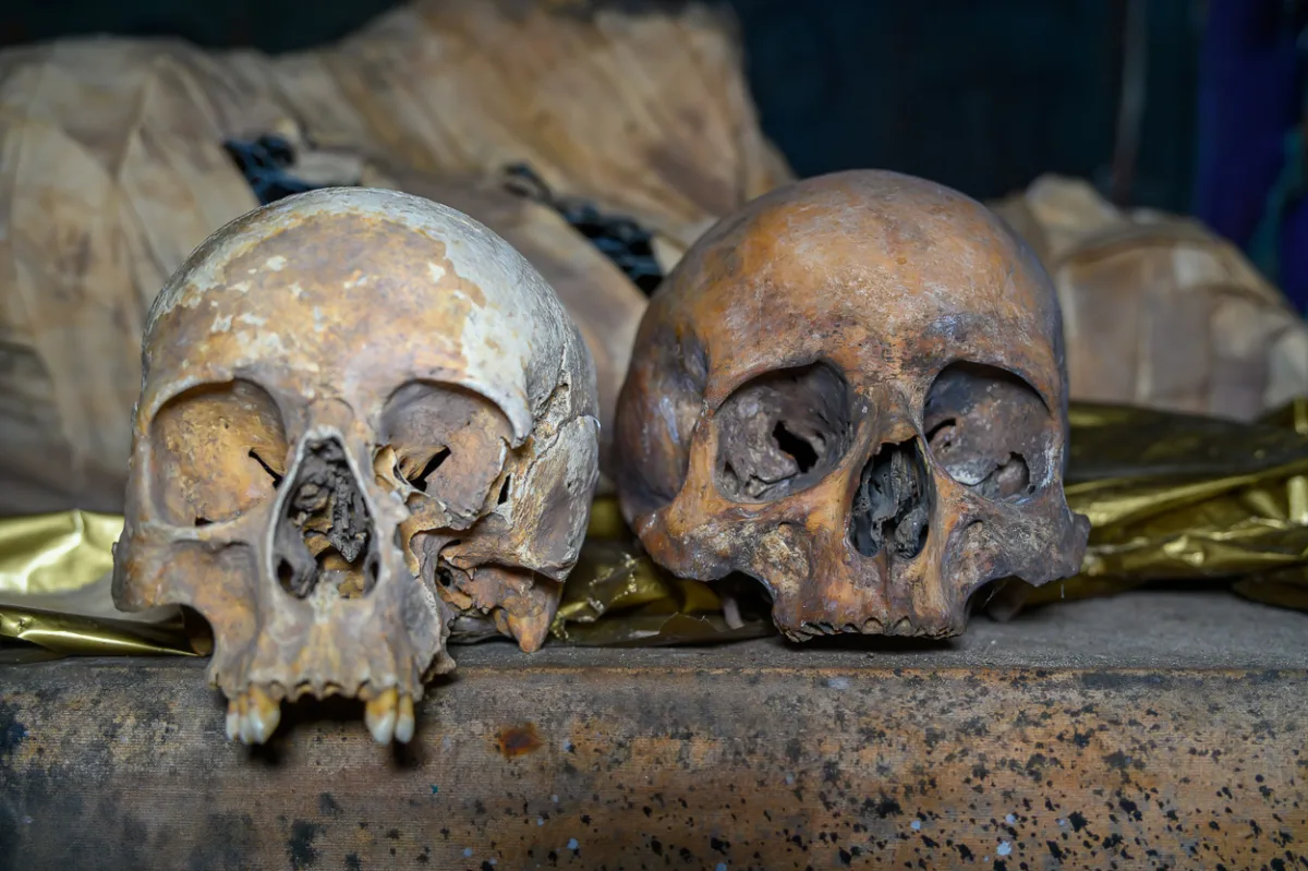 Mannequin Rooms and Human Skulls