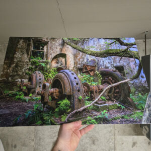 Rusted machinery reclaimed by nature at an abandoned power plant in São Migui, Azores. 24x16 lustre matte print, mounted on foam core.