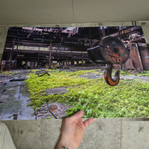 Rusted crane hook hanging over a fern-covered floor inside an abandoned steel mill in Lackawanna, New York.