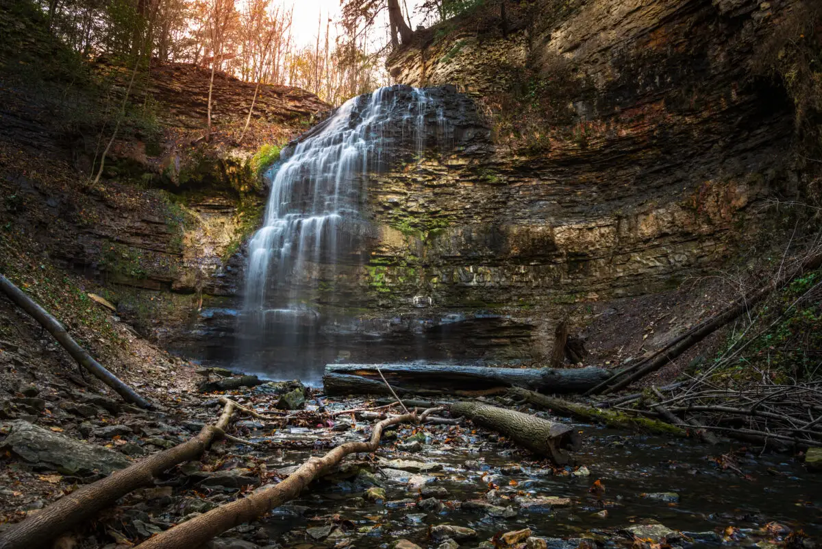 Waterfall and forest landscape in Hamilton Ontario, a scenic outdoor location often used for portrait photography sessions