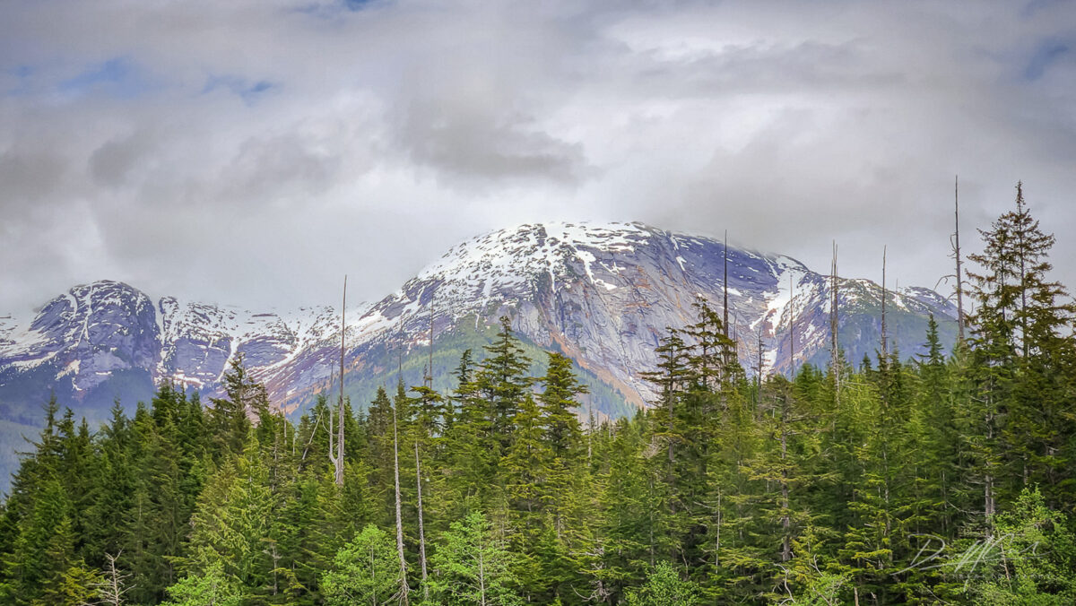 Northern British Columbia Mountains