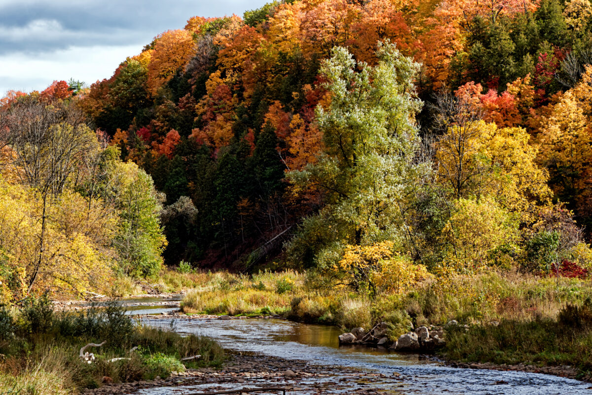 Scenic natural landscape in Oakville Ontario showing outdoor locations used for portrait photography sessions.