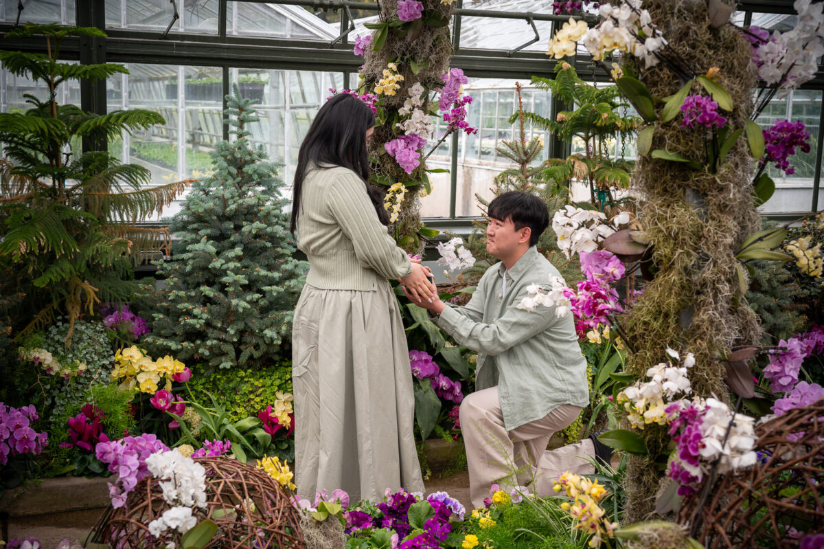 Soosung and Sofia Marriage Proposal Session
