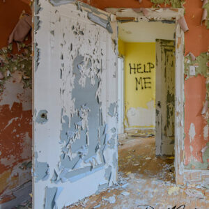 VERTICAL 8X10 HELP ME Abandoned House